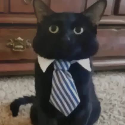 Dani Marcelo Septiano Kuntardi